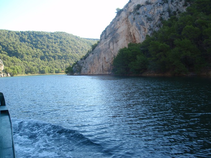 P1010216.jpg