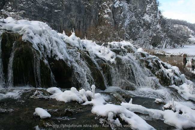 29_itvice_153.jpg