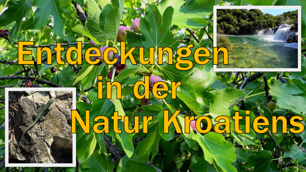 Natur1-001.jpg