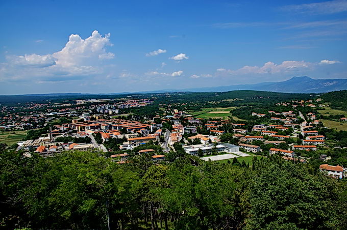 DSC06907-1.jpg