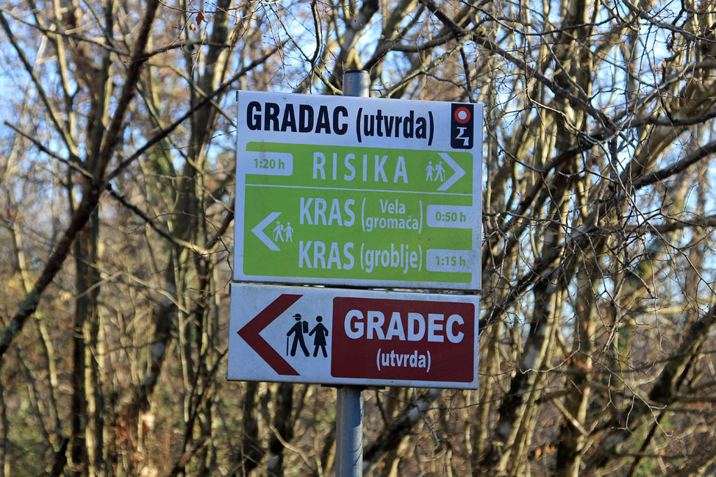 35476313bx.jpg