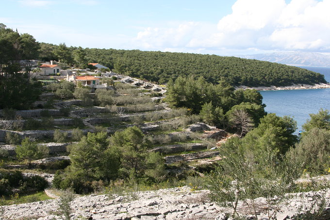 25_mindel_3.tag_tankarica_037_680.jpg