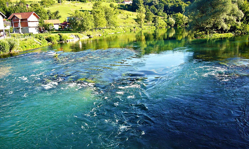 P1230148.jpg