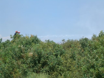 Feuerwehrleute_01.jpg