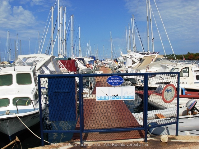 268ervar_-_Porat._6.JPG
