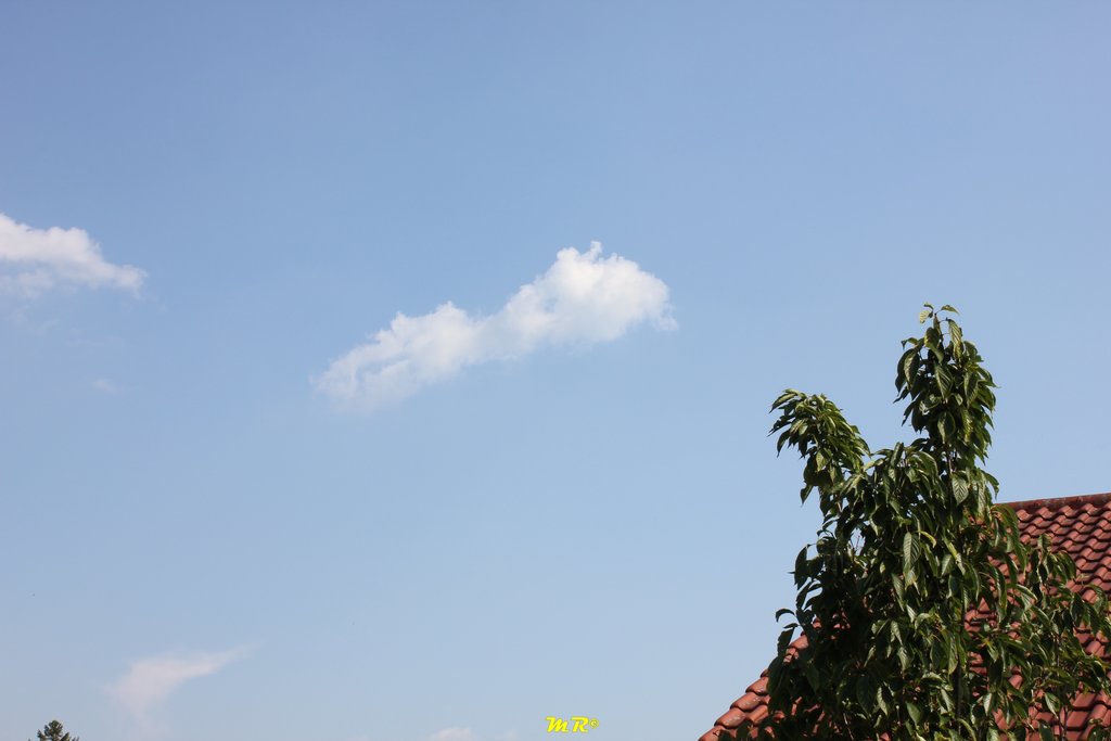33431361os.jpg