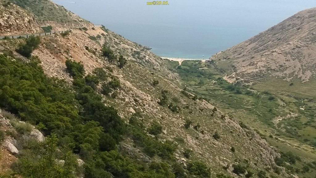 32831380nm.jpg