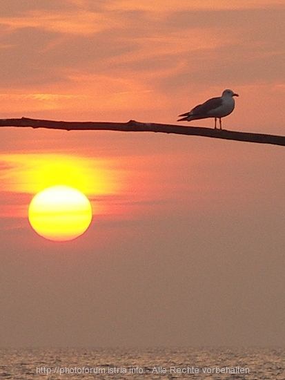 PICT5042-1.jpg