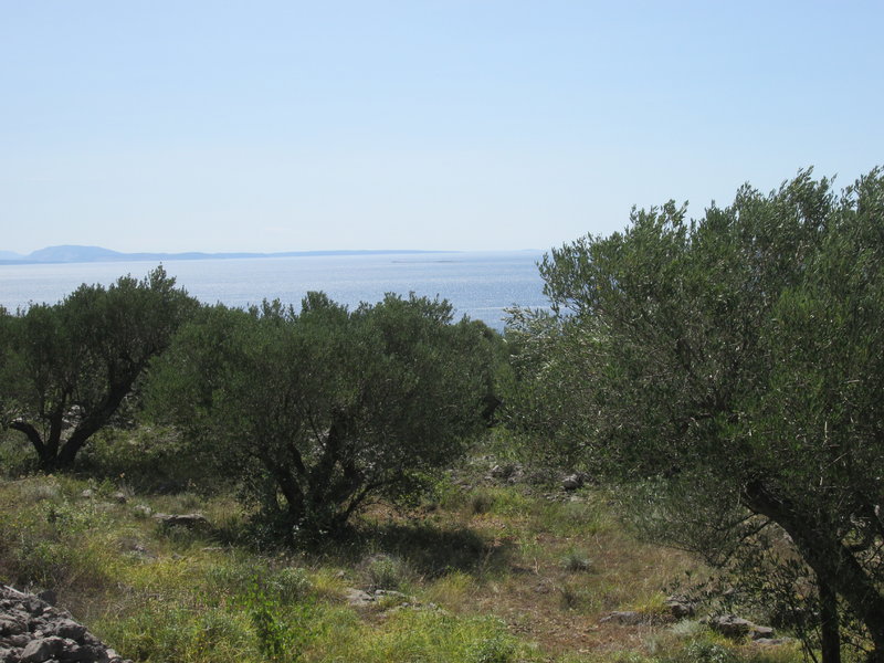 30142957kl.jpg