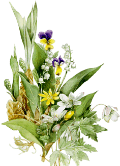 blumen-2061.gif