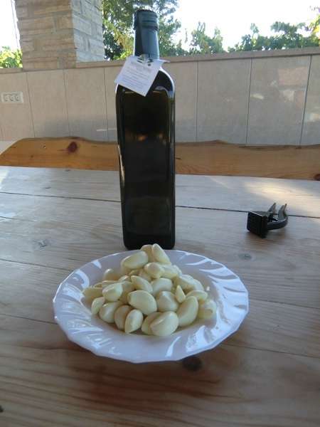 kroatientag8002.jpg
