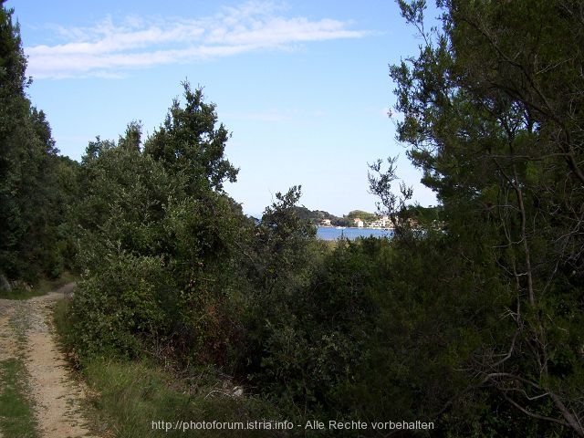 03_Wanderweg_auf_Kalifront_2.jpg
