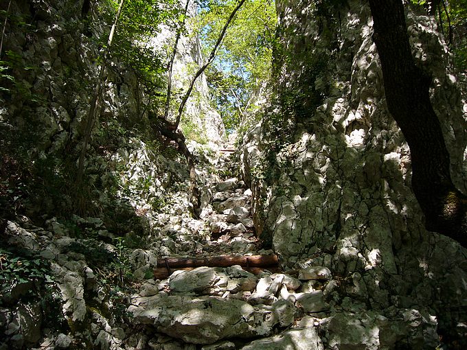 P1000176-1.jpg