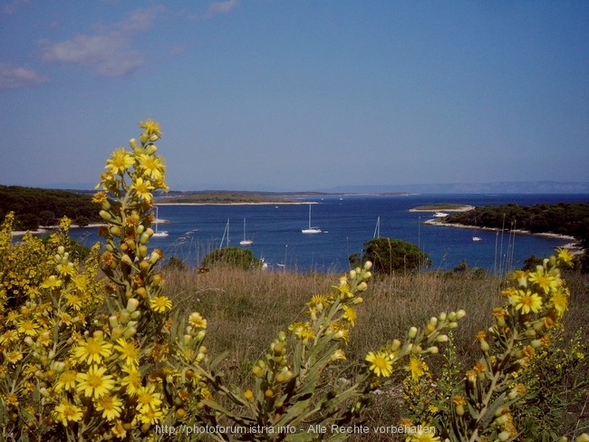 Kroatien_september_2005_108.jpg