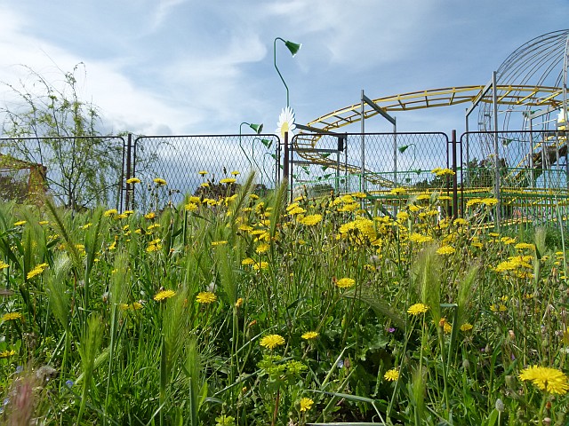 P1160657_klein.jpg