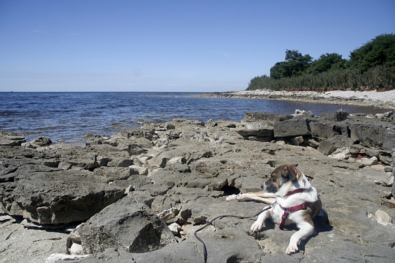 cp_umag_maja.jpg
