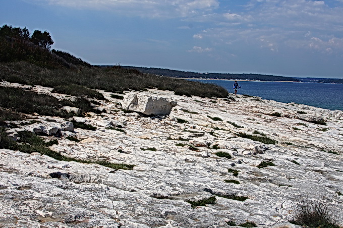 DSC00611-1.jpg