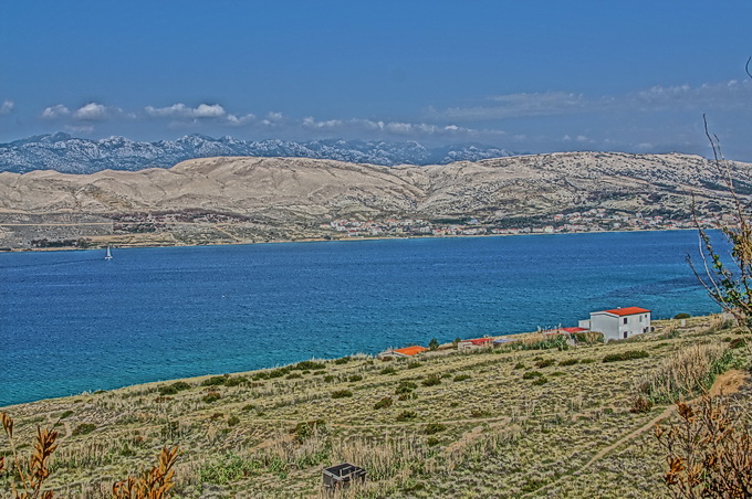 DSC00869-1.jpg
