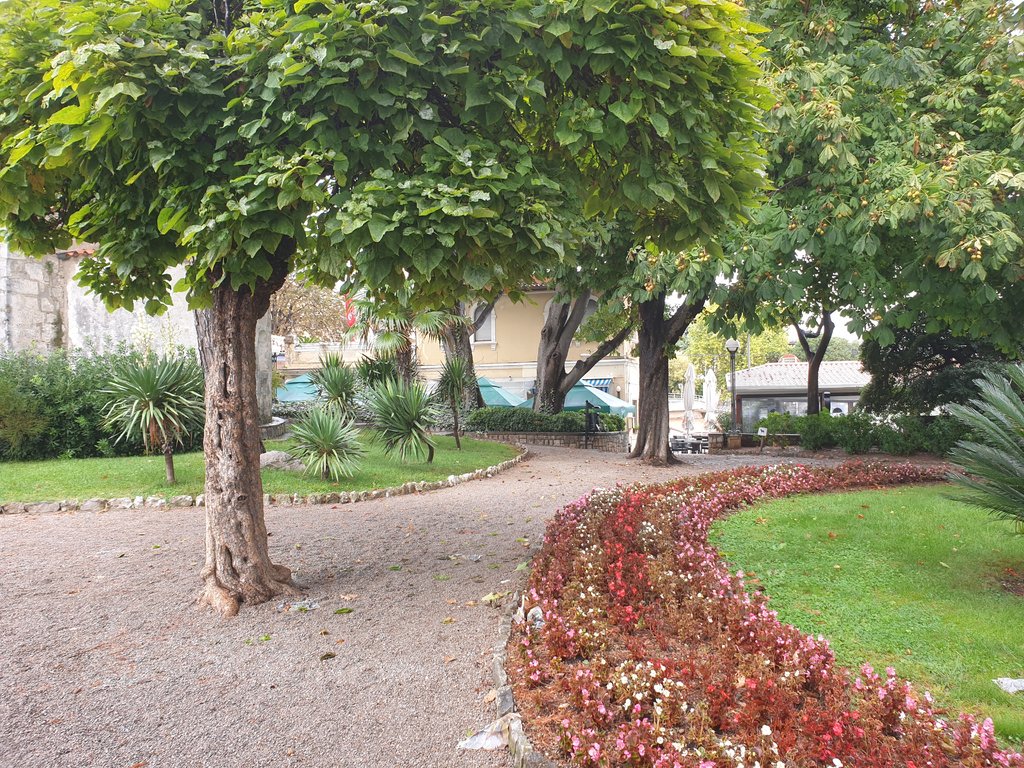 40104701lh.jpg