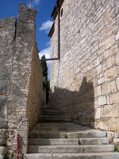 100_9551.JPG
