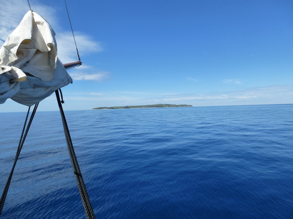P1010351_Bildgre_ndern.jpg