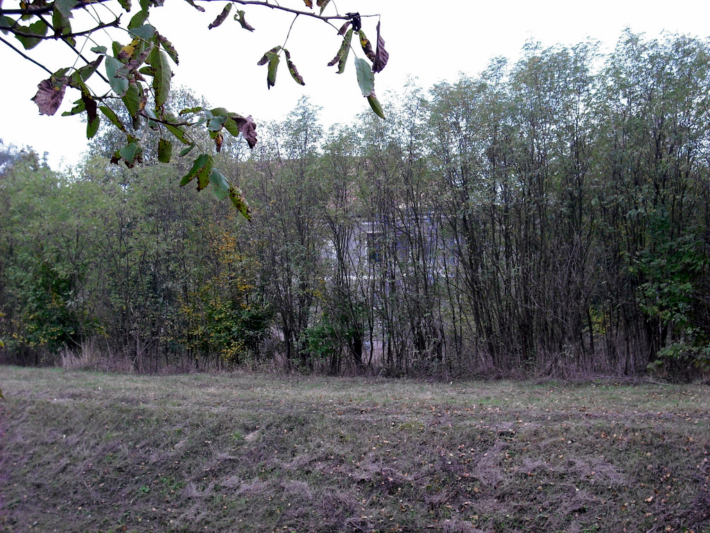 f11739433t527251p7700895n8.jpg
