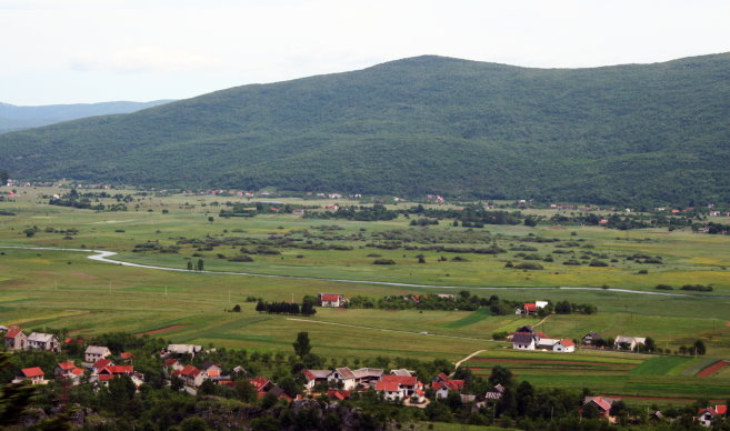 001r_680.jpg