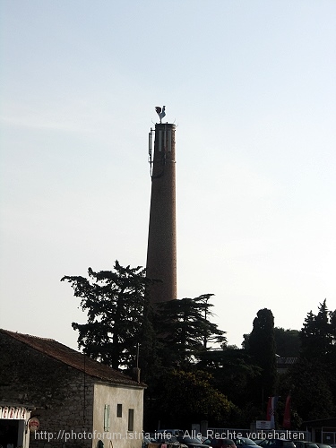 PICT4965-1.jpg