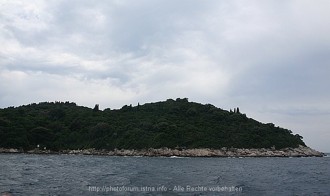 INSEL_LOKRUM_IMG_3072a.jpg
