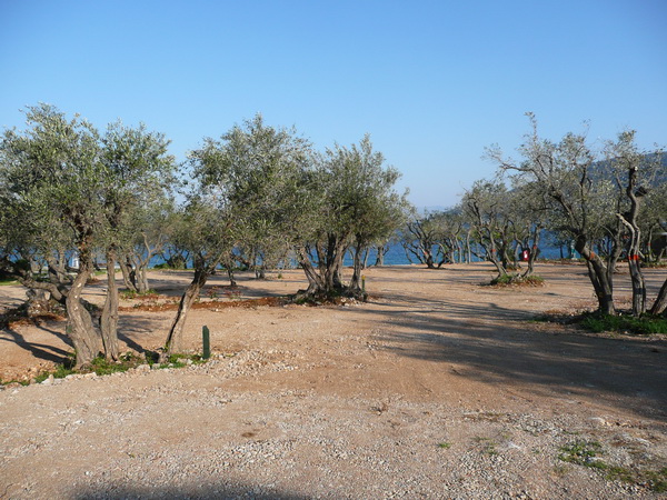 P1180140_Bildgre_ndern.JPG