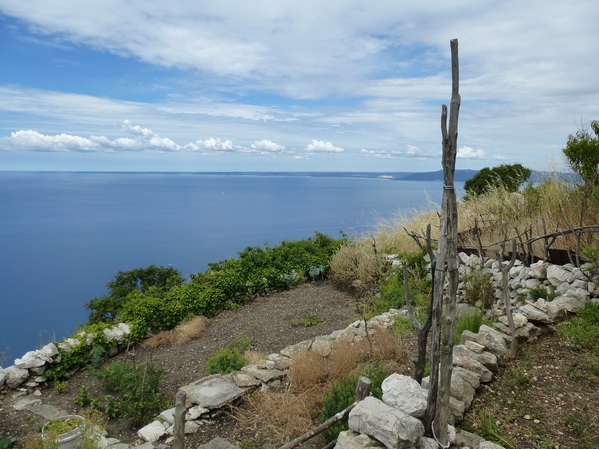 P1010247_Bildgre_ndern.jpg