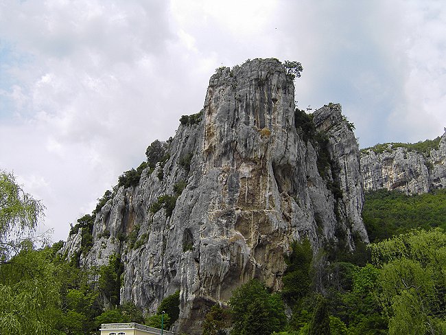 PICT5091-1.jpg