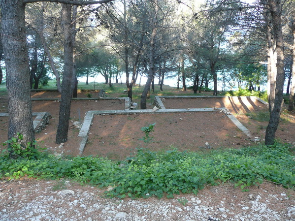 P1220815_Bildgre_ndern.jpg