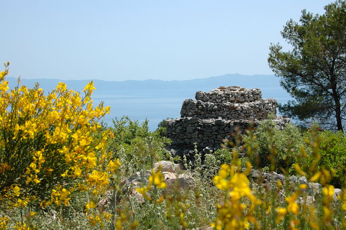 DSC_0172a.jpg