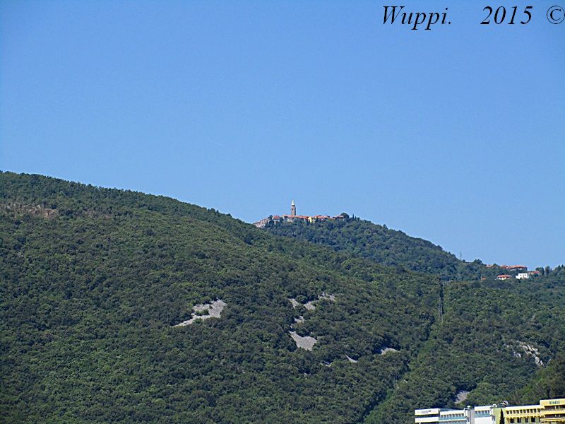 30405229yh.jpg