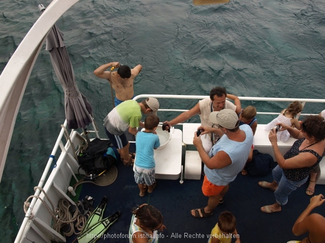 AquaVision7.JPG