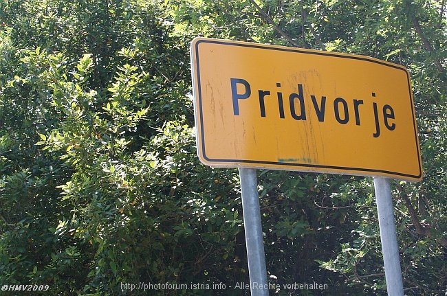 PRIDVORJE_000_2009IMG_2640a.jpg