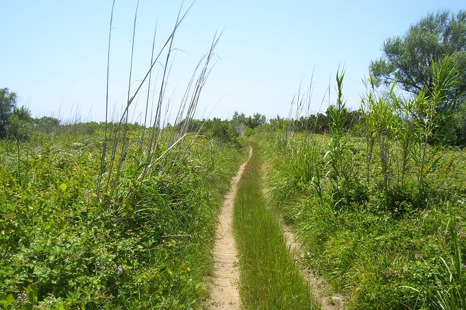 082_Wanderweg_auf_Susak.JPG