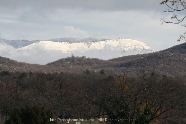 18_Lipica_Hrstovlje_Motovun_069.jpg