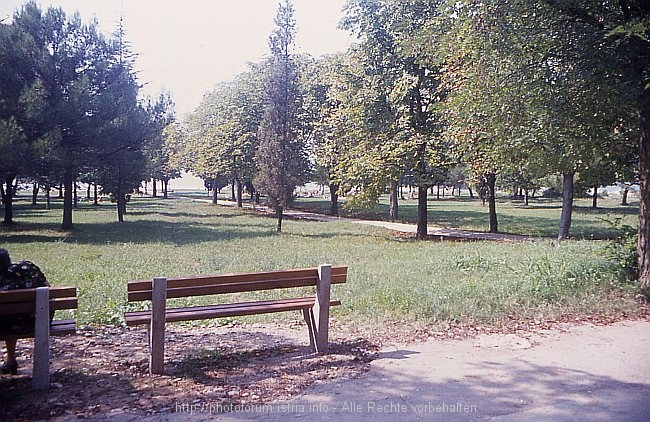 POREC-BORIK_Strand_Borik_u1981_0093.jpg