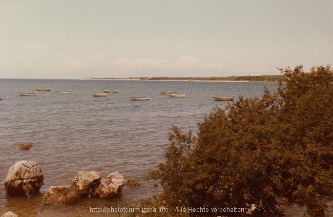 POREC-BORIK_Strandausblick_Borik_u1981_FOTO.jpg