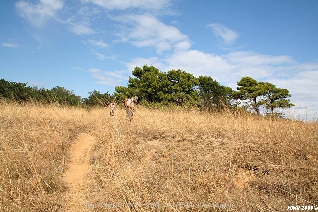 HALBINSEL_LOPAR_141_2008IMG_9030_2.jpg