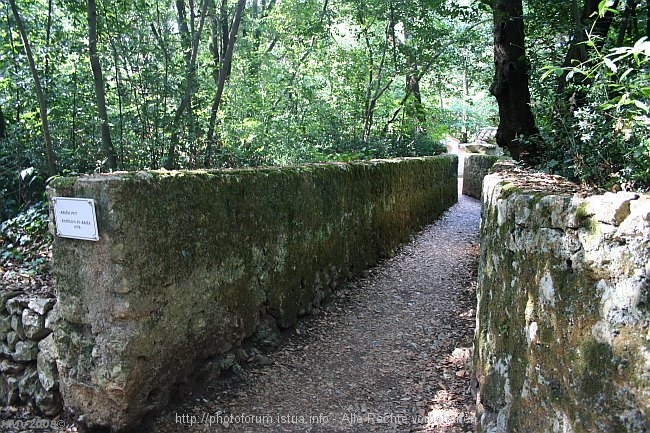 KLOSTERINSEL_KOSLJUN_Kreuzweg_2008IMG_8422.jpg