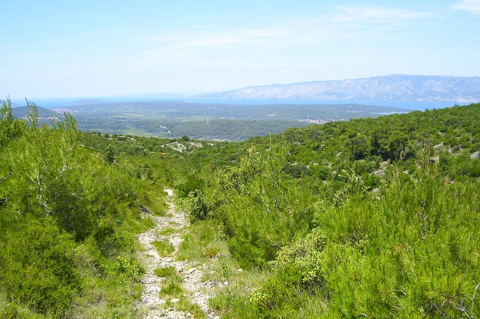 080_Wanderweg.JPG