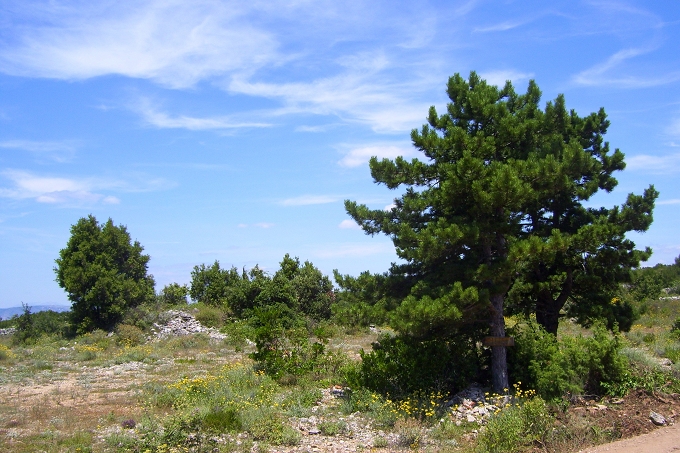 083_Abzweigung_Wanderweg_von_Strae.JPG