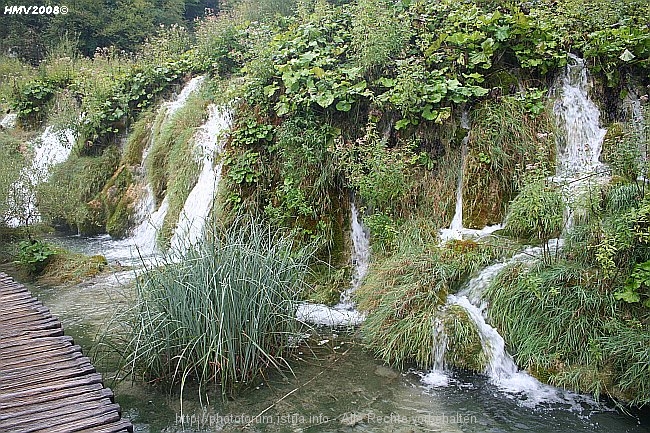 NP_PLITVICER_SEEN_Jezero_Gavanovac_Kalksinterbarriere_zum_Kaluderovac_2008_IMG_8613.jpg