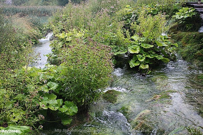 NP_PLITVICER_SEEN_Jezero_Novakovica_Brod_2008IMG_8594.jpg