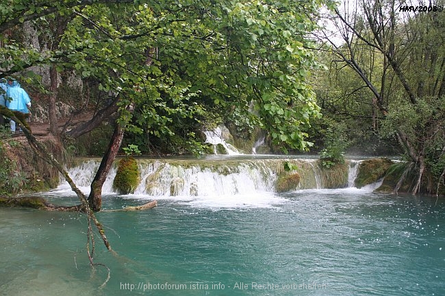 NP_PLITVICER_SEEN_Milka-Trnina-Wasserfall_zum_Jezero_Gavanovac_2008IMG_8626.jpg