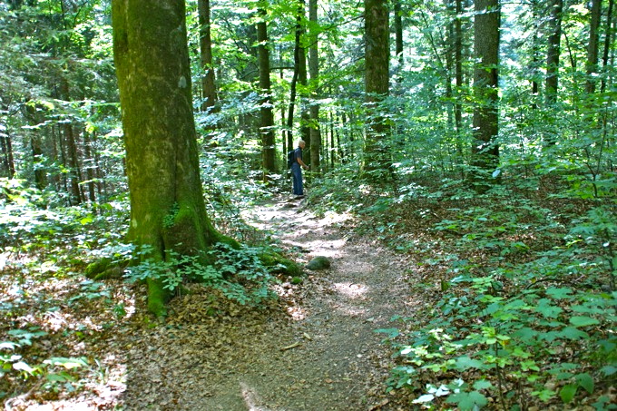 Waldweg.jpg