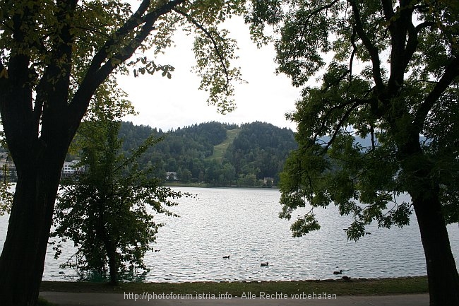 BLED_Rodelbahn_2008IMG_9201.jpg